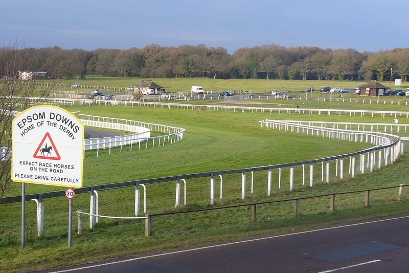 Featured Post Image - Vanquished at Epsom, Victorious Elsewhere: Bouncing Back from Derby Defeat