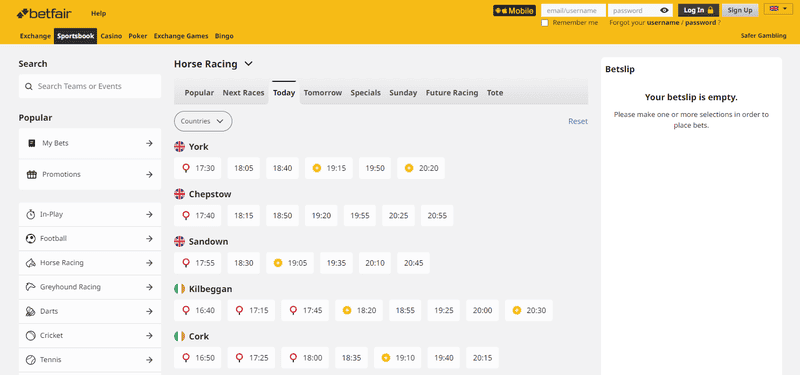 Betfair Horse Racing Betting Screenshot