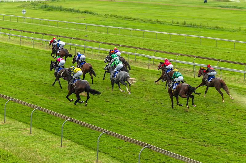 Horse Race Elevated View