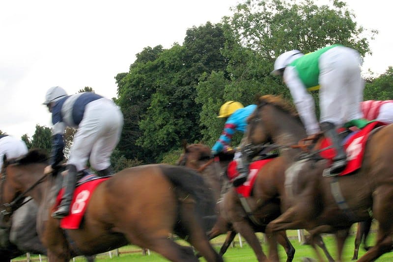 Featured Post Image - Our Value Bets in the Northumberland Plate, Criterion Stakes and Chipchase Stakes