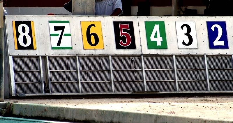 Starting gate trap