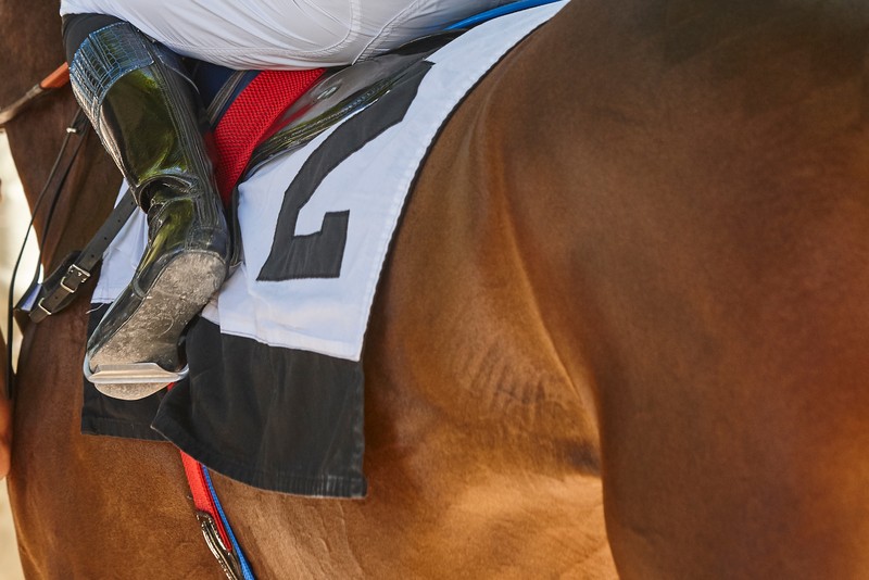 Featured Post Image - Next Season’s Classic Contenders Shine in September