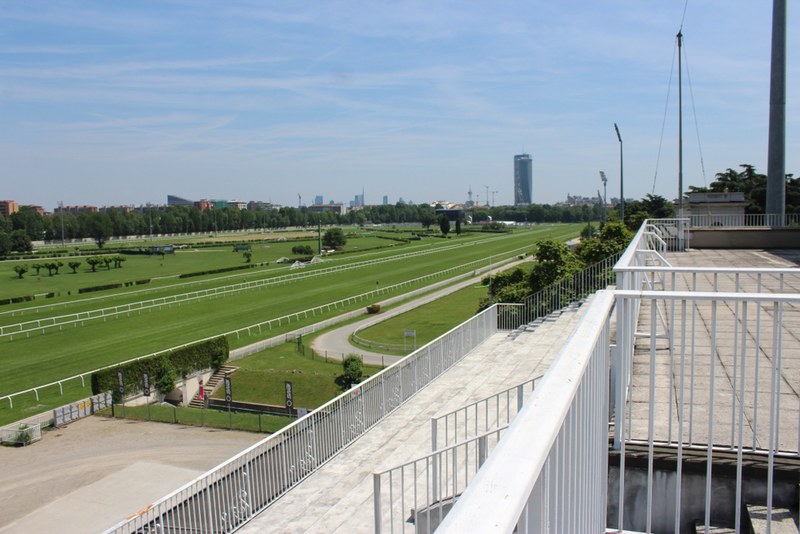 Featured Post Image - The Constitution Hill Italian Job: Destination Milan for the Nicky Henderson Star