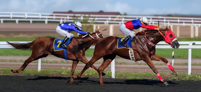 Horse racing at speed